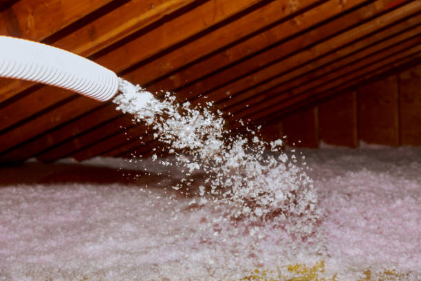 Professional Insulation Contractor in Tinley Park, IL