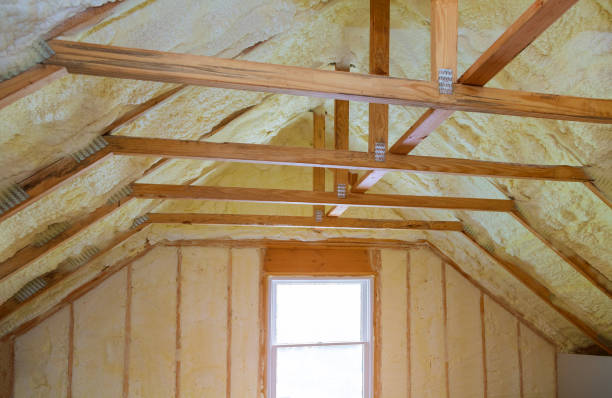 Best Insulation Contractor Near Me  in Tinley Park, IL