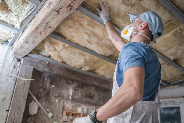 Best Best Insulation Companies  in Tinley Park, IL