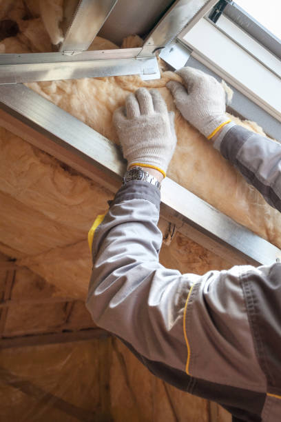 Best Local Insulation Services  in Tinley Park, IL