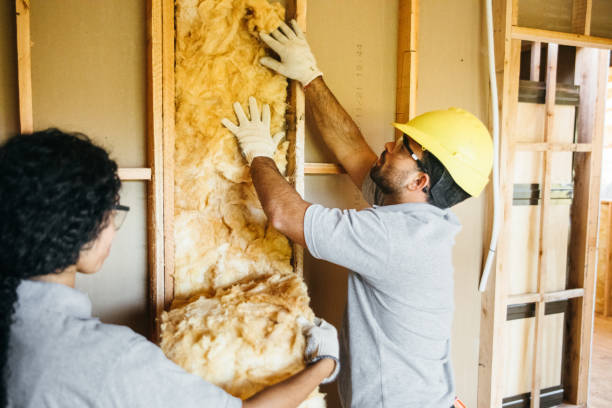 Insulation Replacement Services in Tinley Park, IL