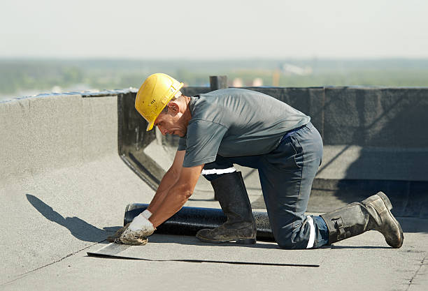Best Crawl Space Insulation  in Tinley Park, IL