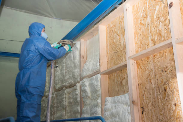 Best Energy-efficient Insulation  in Tinley Park, IL