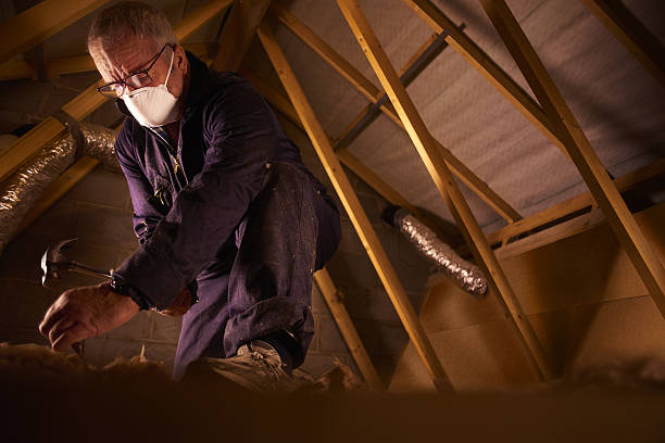 Best Insulation Repair Services  in Tinley Park, IL